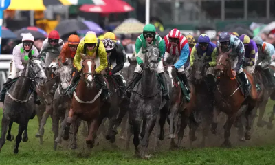Champion Bumper 2022