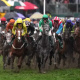Champion Bumper 2022