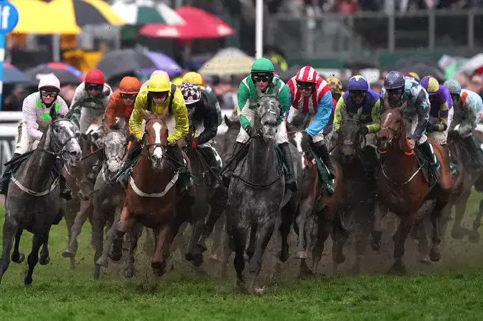 Champion Bumper 2022