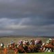 Cheltenham Fest - Race 1 Preview
