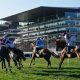 Cheltenham Festival - Arkle Preview