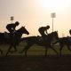 Dubai-World-Cup-Meydan
