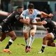 Harold Vorster of the Bulls
