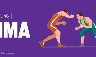 The Basics of MMA Betting: An Introduction for Beginners