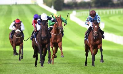 24/08/2021 - Tuesday's horse racing tips