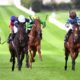 24/08/2021 - Tuesday's horse racing tips