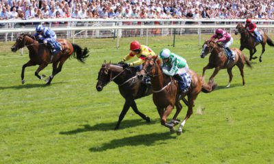 21/08/2021 - Horse Racing Tips