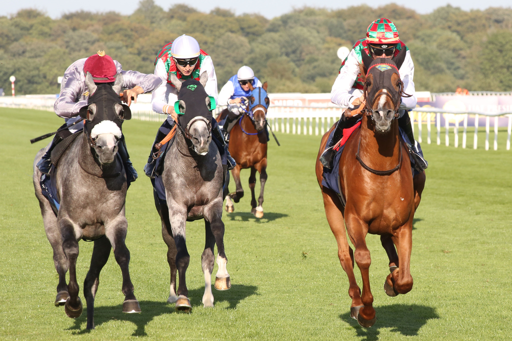 11/09/2021 - Tips for the final day of the Doncaster St Leger Festival