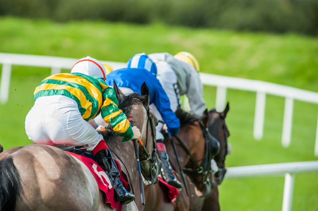 16/09/2021 - Thursday's Racing Tips