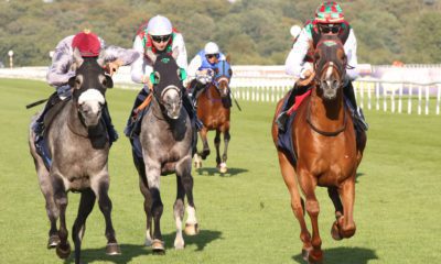 08/09/2021 - Tips for Day 1 of the St Leger Festival