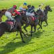 29/10/2021 - Friday's Racing Tips