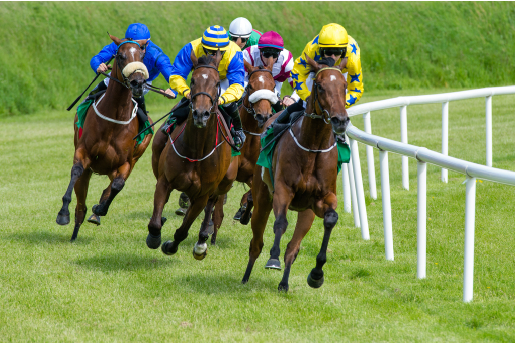 30/12/2021 - Thursday's Racing Tips