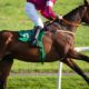 05/03/2023 - Sunday's Racing Tips by Neil Morrice