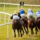 12/02/2022 - Saturday's Racing Tips