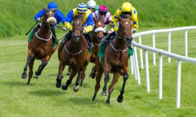 11/02/2022 - Friday's Racing Tips