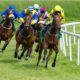 11/02/2022 - Friday's Racing Tips