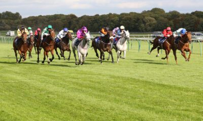 Andrew Halligan - Irish 2000 Guineas Day