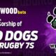 Wild Dogs Ladies 7s Rugby