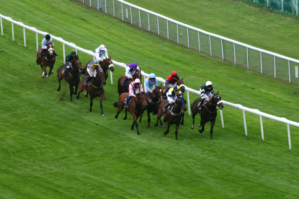 30/09/2022- Friday's racing tips by Neil Morrice