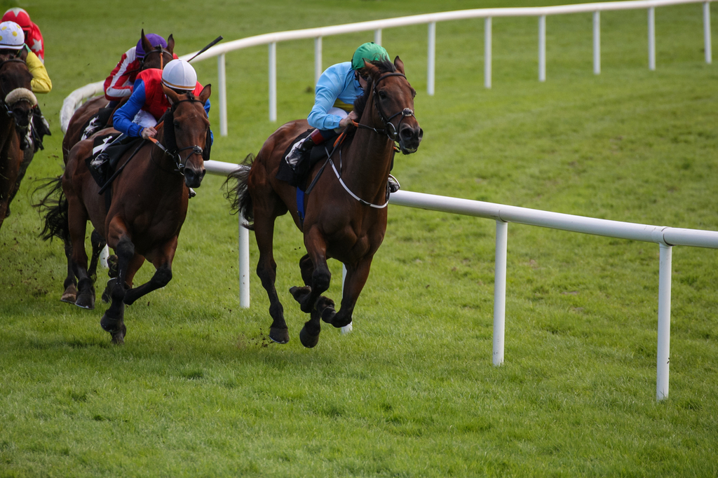 12/11/2022 - Saturday's Racing Tips by Neil Morrice