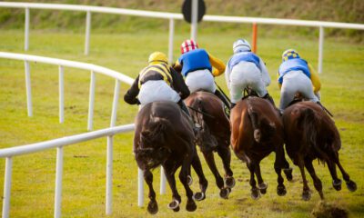04/02/2023 - Saturday's Racing Tips by Neil Morrice