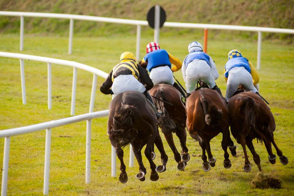 04/02/2023 - Saturday's Racing Tips by Neil Morrice