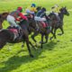 10/12/2022 - Saturday's Racing Tips by Neil Morrice