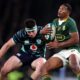 Damian Willemse of the Springboks