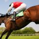 23/02/2023 - Thursday's Racing Tips by Neil Morrice