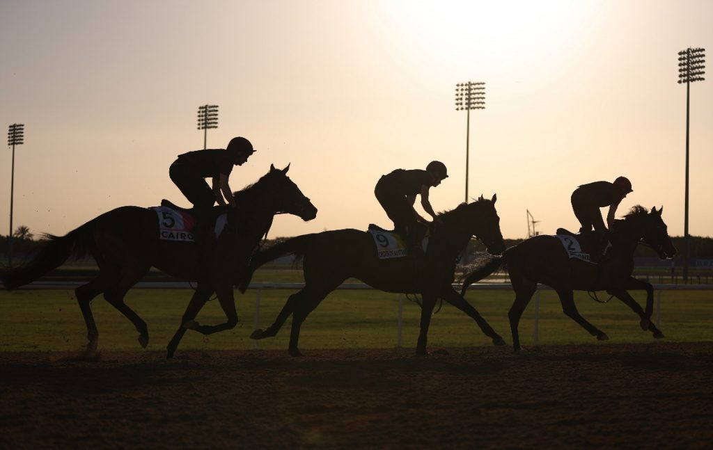 Dubai World Cup