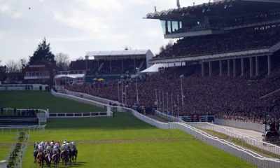 Cheltenham Festival