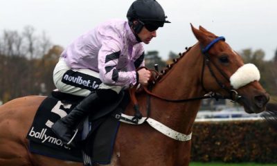 Maximilian to miss Cheltenham