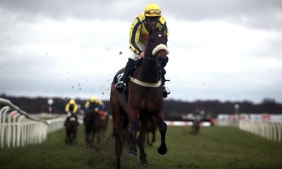 Willmount at Cheltenham