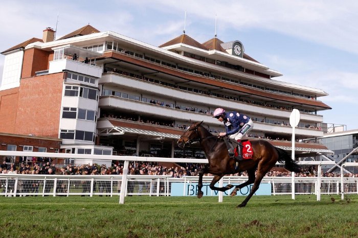 Saturday's racing tips