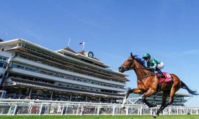 Prix Corrida