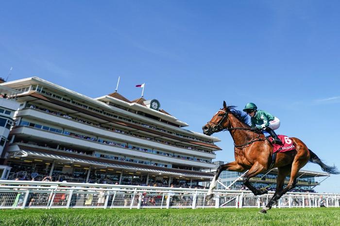 Prix Corrida