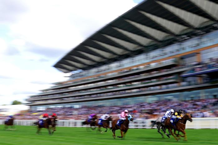 Tuesday's racing tips