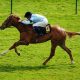 Royal Ascot