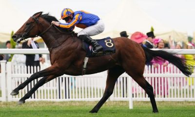 Paddington ridden by Ryan Moore wins The St James's Palace Stakes during day one of Royal Ascot at Ascot Racecourse, Berkshire. Picture date: Tuesday June 20, 2023.