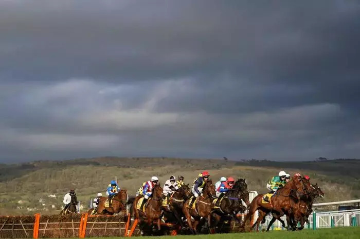 CHELTENHAM FESTIVAL 2024 High hopes for Firefox and Tellherthename