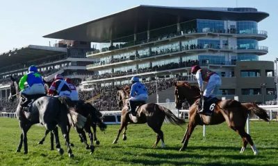 Cheltenham Festival - Arkle Preview