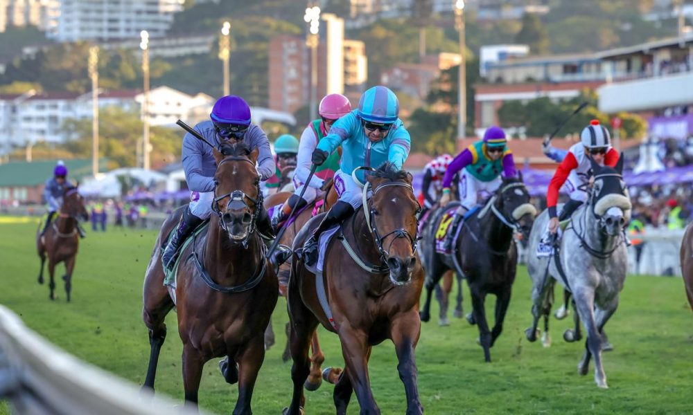 South Africa Racing How to Read the Winning Form Racecard