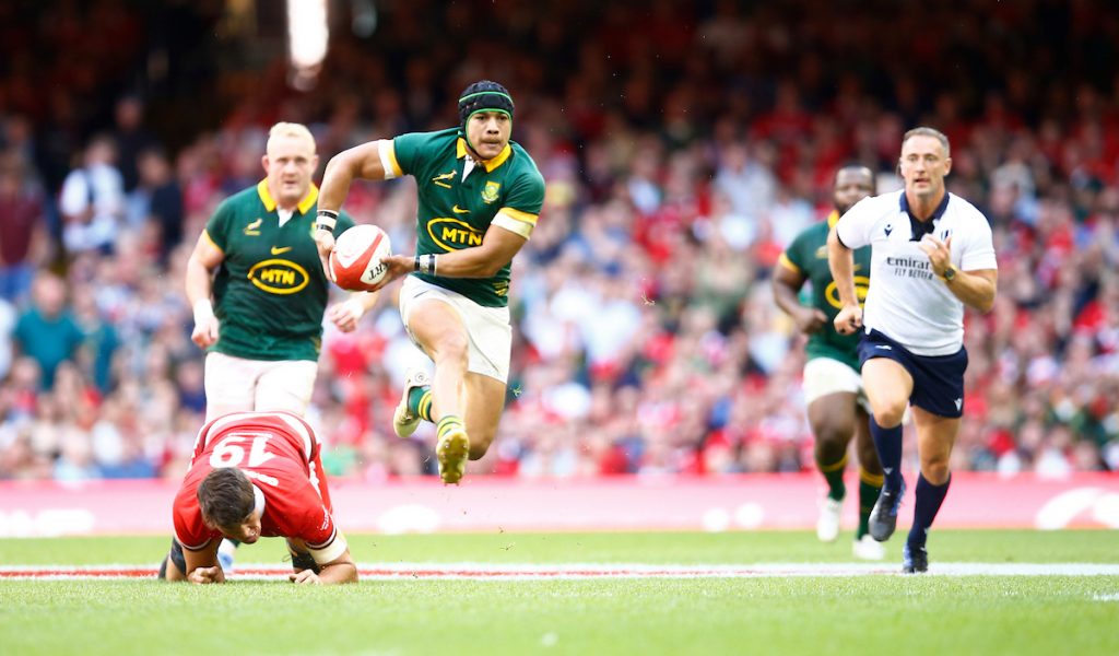 Cheslin Kolbe of the Springboks