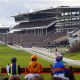 Cheltenham-Festival-Neil-Morrice