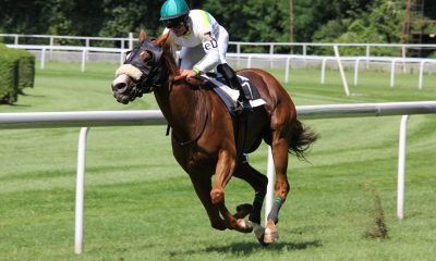 Cheltenham-Horse-scaled